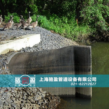 直嘴<a href=http://www.jnfeidi.com target=_blank class=infotextkey>橡膠止回閥</a>運(yùn)行現(xiàn)場